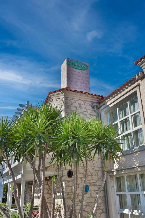 Casa Oliva Alacati - Adults Only 14 Plus المظهر الخارجي الصورة
