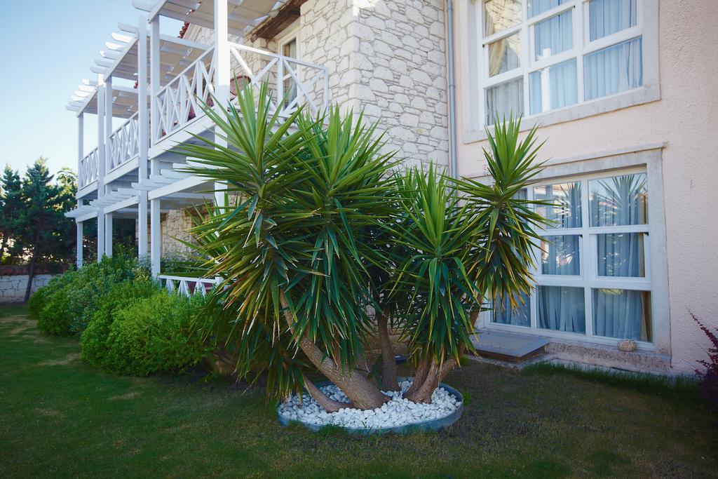 Casa Oliva Alacati - Adults Only 14 Plus المظهر الخارجي الصورة