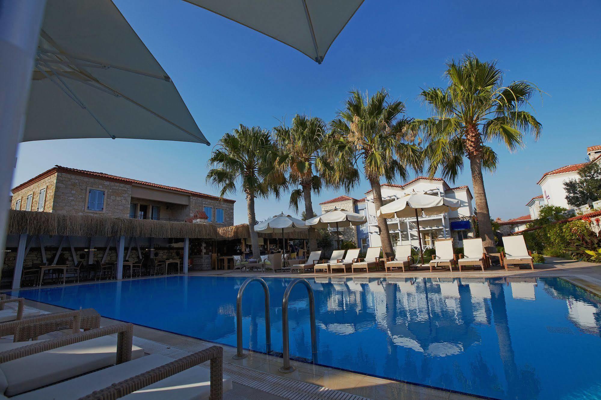 Casa Oliva Alacati - Adults Only 14 Plus المظهر الخارجي الصورة